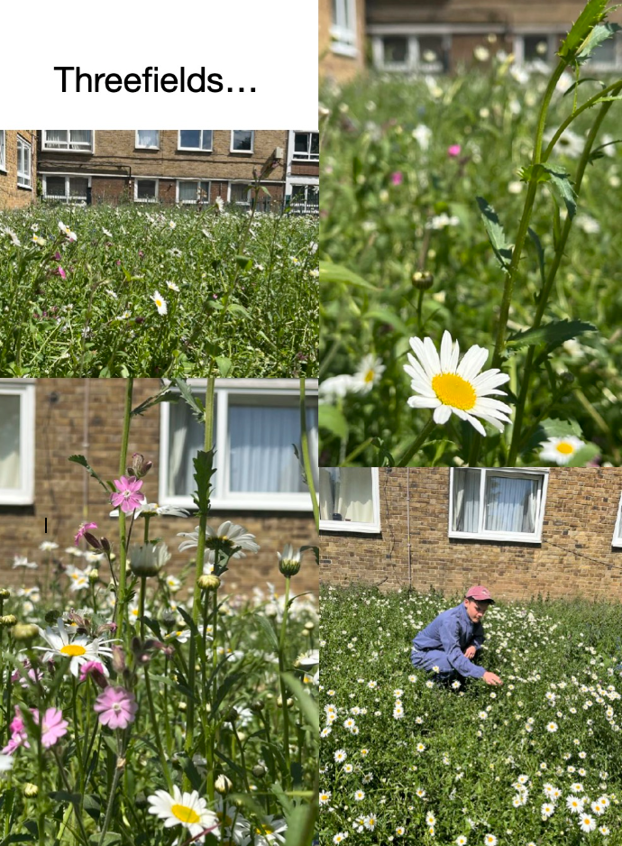 At Three Fields, Camden Town
